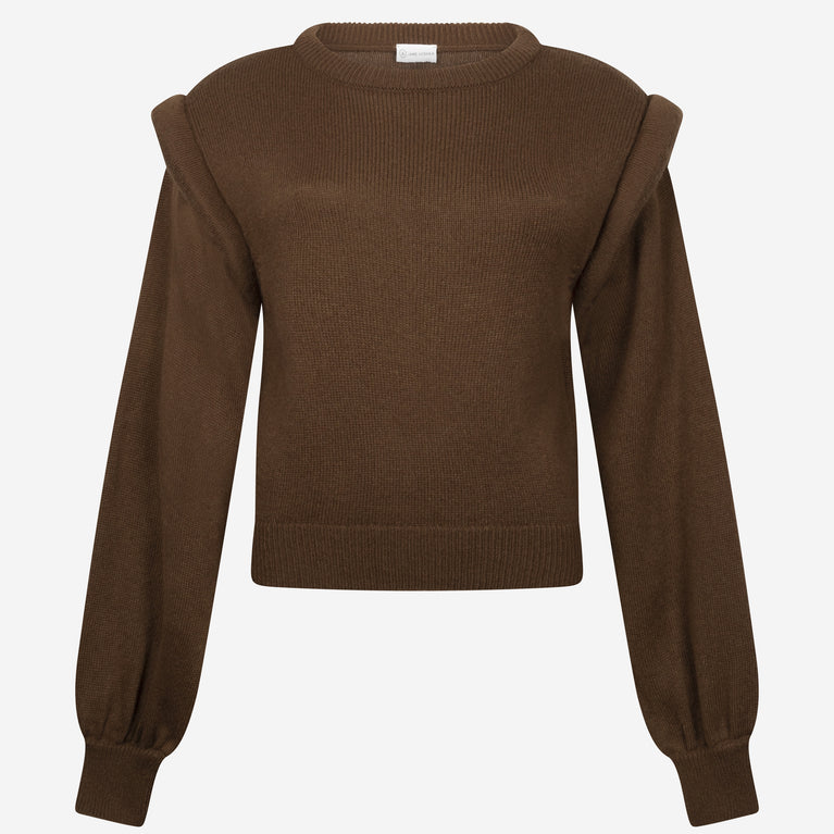 Les Coyottes Pullover | Brown